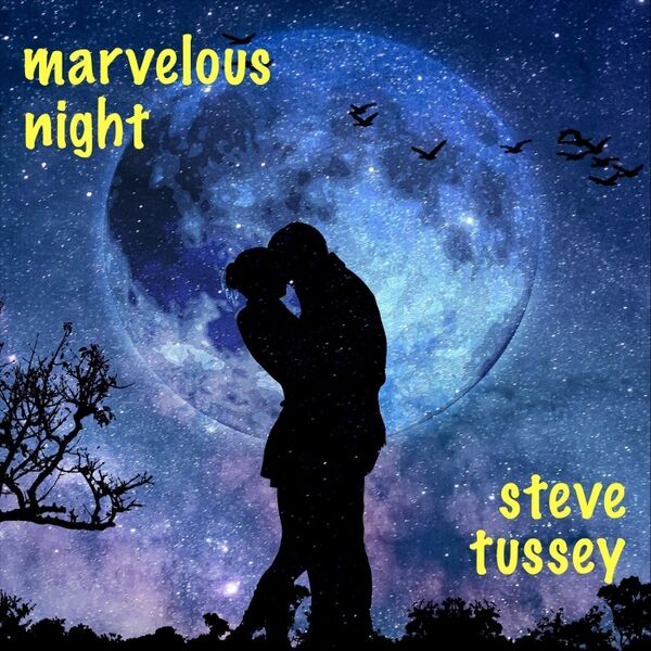 Cover art for Marvelous Night